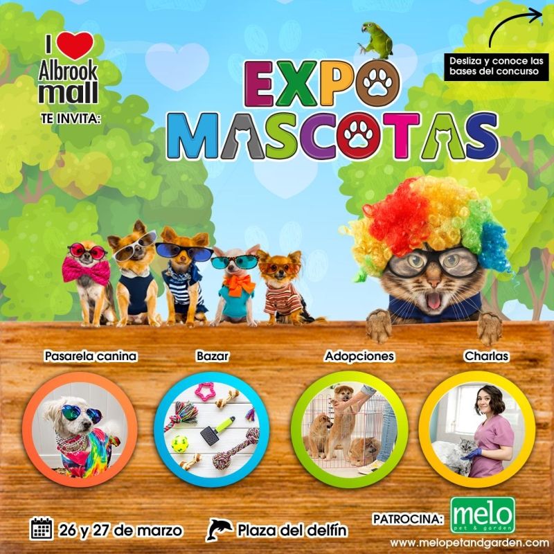 EXPO MASCOTAS