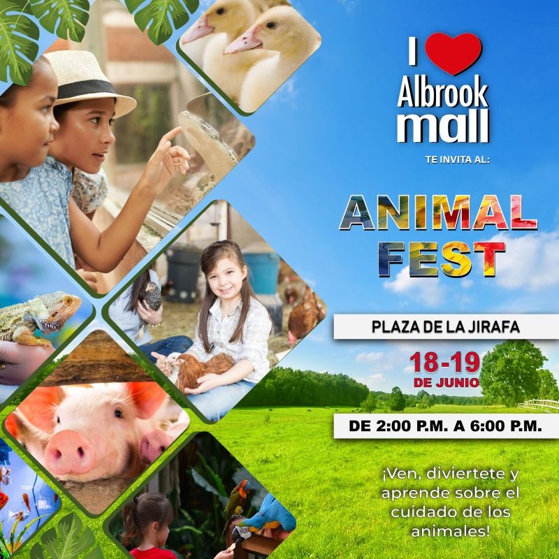 ANIMAL FEST 2022