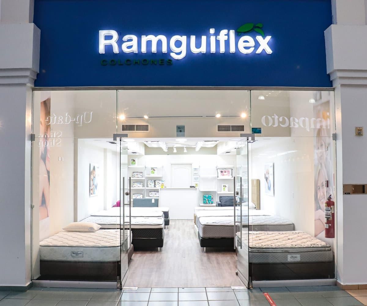 Ramguiflex
